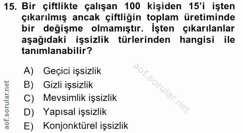 15. soru: Bir çiftlikte çalışan 100 kişiden 15'i işten çıkarılmış ancak çiftliğin toplam üretiminde bir değişme olmamıştır. İşt…
