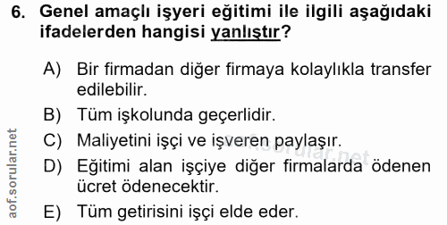 6. soru: Genel amaçlı işyeri eğitimi ile ilgili aşağıdaki ifadelerden hangisi yanlıştır? A) Bir firmadan diğer firmaya kolaylı…