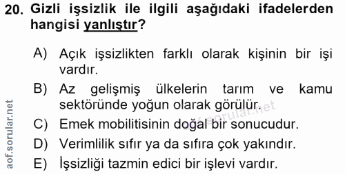 20. soru: Gizli işsizlik ile ilgili aşağıdaki ifadelerden hangisi yanlıştır? A) Açık işsizlikten farklı olarak kişinin bir işi…