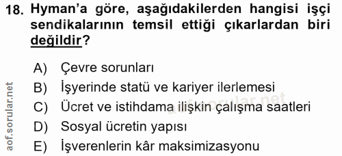18. soru: Hyman'a göre, aşağıdakilerden hangisi işçi sendikalarının temsil ettiği çıkarlardan biri değildir? A) Çevre sorunları…