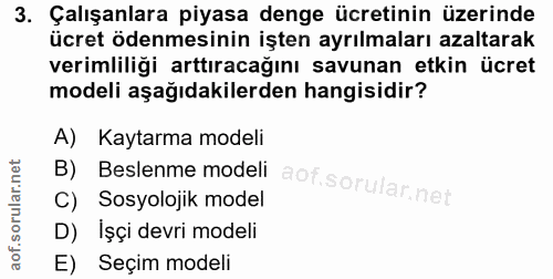 3. soru: Çalışanlara piyasa denge ücretinin üzerinde ücret ödenmesinin işten ayrılmaları azaltarak verimliliği arttıracağını s…