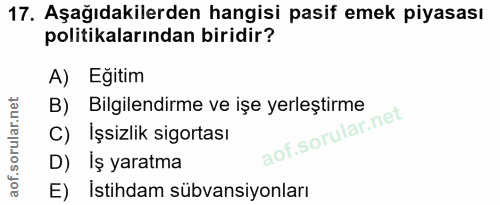17. soru: Aşağıdakilerden hangisi pasif emek piyasası politikalarından biridir? A) Eğitim B) Bilgilendirme ve işe yerleştirme C…