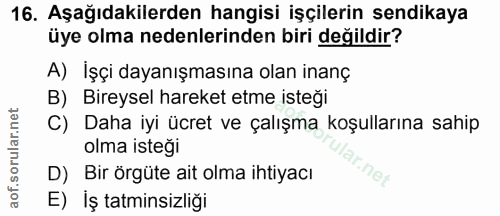 16. soru: Aşağıdakilerden hangisi işçilerin sendikaya üye olma nedenlerinden biri değildir? A) İşçi dayanışmasına olan inanç B)…
