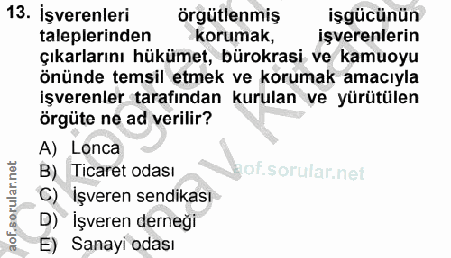 13. soru: İşverenleri örgütlenmiş işgücünün taleplerinden korumak, işverenlerin çıkarlarını hükümet, bürokrasi ve kamuoyu önünd…