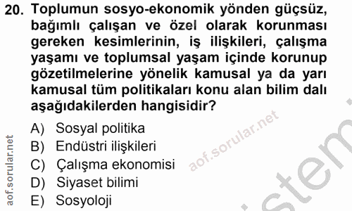 20. soru: Toplumun sosyo-ekonomik yönden güçsüz, bağımlı çalışan ve özel olarak korunması gereken kesimlerinin, iş ilişkileri,…