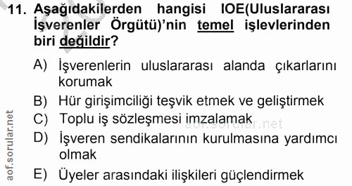 11. soru: Aşağıdakilerden hangisi IOE(Uluslararası işverenler Örgütü)'nin temel işlevlerinden biri değildir? A) İşverenlerin ul…