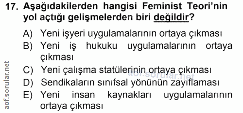 17. soru: Aşağıdakilerden hangisi Feminist Teori'nin yol açtığı gelişmelerden biri değildir? A) Yeni işyeri uygulamalarının ort…