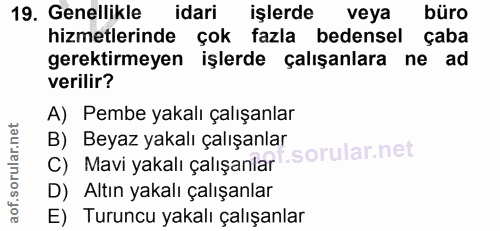 19. soru: Genellikle idari işlerde veya büro hizmetlerinde çok fazla bedensel çaba gerektirmeyen işlerde çalışanlara ne ad veri…