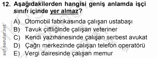 12. soru: Aşağıdakilerden hangisi geniş anlamda işçi sınıfı içinde yer almaz? A) Otomobil tabrikasında çalışan ustabaşı B) Tavu…