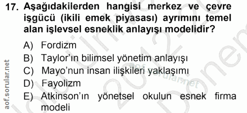 17. soru: Aşağıdakilerden hangisi merkez ve çevre işgücü (ikili emek piyasası) ayrımını temel alan işlevsel esneklik anlayışı m…