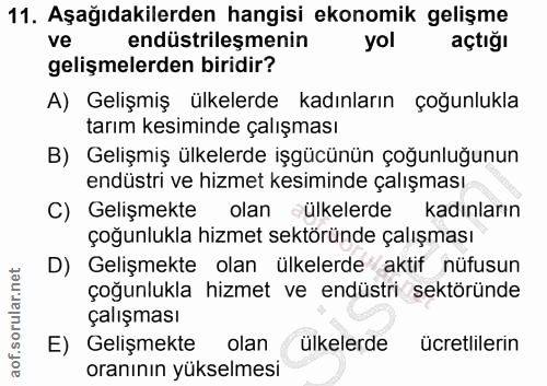 11. soru: Aşağıdakilerden hangisi ekonomik gelişme ve endüstrileşmenin yol açtığı gelişmelerden biridir? A) Gelişmiş ülkelerde…