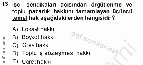 13. soru: İşçi sendikaları açısından örgütlenme ve toplu pazarlık hakkını tamamlayan üçüncü temel hak aşağıdakilerden hangisidi…