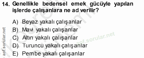 14. soru: Genellikle bedensel emek gücüyle yapılan işlerde çalışanlara ne ad verilir? A) Beyaz yakalı çalışanlar B) Mavi yakalı…