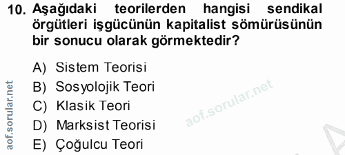 10. soru: Aşağıdaki teorilerden hangisi sendikal örgütleri işgücünün kapitalist sömürüsünün bir sonucu olarak görmektedir? A) S…