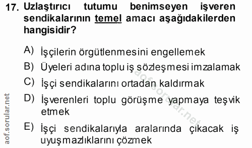 17. soru: Uzlaştırıcı tutumu benimseyen işveren sendikalarının temel amacı aşağıdakilerden hangisidir? A) İşçilerin örgütlenmes…