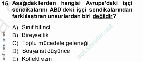 15. soru: Aşağıdakilerden hangisi Avrupa'daki işçi sendikalarını ABD'deki işçi sendikalarından farklılaştıran unsurlardan biri…