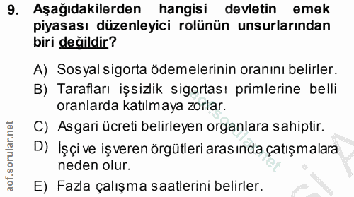 9. soru: Aşağıdakilerden hangisi devletin emek piyasası düzenleyici rolünün unsurlarından biri değildir? A) Sosyal sigorta öde…