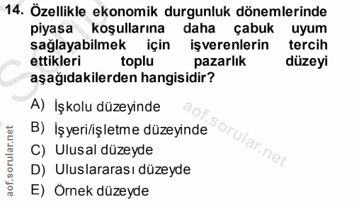 14. soru: Özellikle ekonomik durgunluk dönemlerinde piyasa koşullarına daha çabuk uyum sağlayabilmek için işverenlerin tercih e…