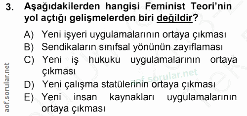 3. soru: Aşağıdakilerden hangisi Feminist Teori'nin yol açtığı gelişmelerden biri değildir? A) Yeni işyeri uygulamalarının ort…