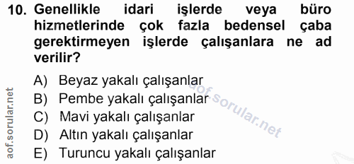 10. soru: Genellikle idari işlerde veya büro hizmetlerinde çok fazla bedensel çaba gerektirmeyen işlerde çalışanlara ne ad veri…