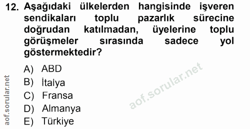 12. soru: Aşağıdaki ülkelerden hangisinde işveren sendikaları toplu pazarlık sürecine doğrudan katılmadan, üyelerine toplu görü…