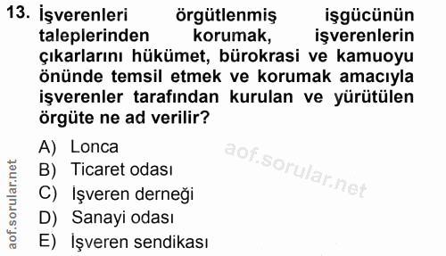 13. soru: İşverenleri örgütlenmiş işgücünün taleplerinden korumak, işverenlerin çıkarlarını hükümet, bürokrasi ve kamuoyu önünd…