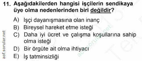 11. soru: Aşağıdakilerden hangisi işçilerin sendikaya üye olma nedenlerinden biri değildir? A) Işçi dayanışmasına olan inanç B)…
