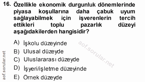16. soru: Özellikle ekonomik durgunluk dönemlerinde piyasa koşullarına daha çabuk uyum sağlayabilmek için işverenlerin tercih e…