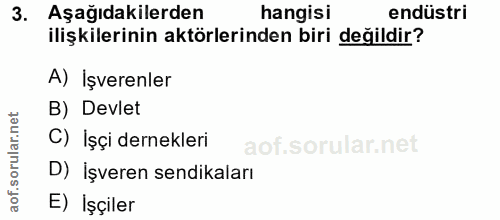 3. soru: Aşağıdakilerden hangisi endüstri ilişkilerinin aktörlerinden biri değildir? A) İşverenler B) Devlet C) İşçi dernekler…