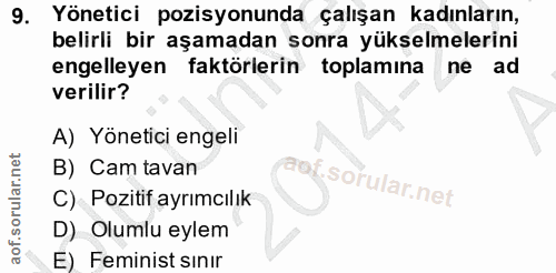 9. soru: Yönetici pozisyonunda çalışan kadınların, belirli bir aşamadan sonra yükselmelerini engelleyen faktörlerin toplamına…