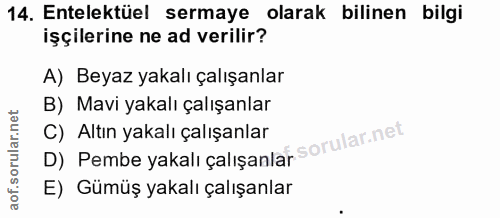 14. soru: Entelektüel sermaye olarak bilinen bilgi işçilerine ne ad verilir? A) Beyaz yakalı çalışanlar B) Mavi yakalı çalışanl…