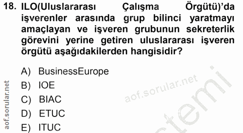 18. soru: ILO(Uluslararası Çalışma Örgütü)'da işverenler arasında grup bilinci yaratmayı amaçlayan ve işveren grubunun sekreter…