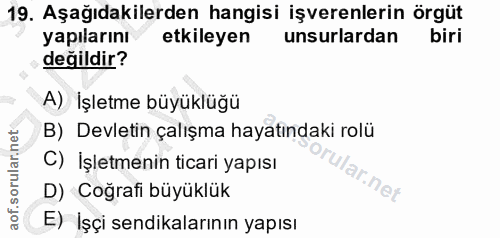 19. soru: Aşağıdakilerden hangisi işverenlerin örgüt yapılarını etkileyen unsurlardan biri değildir? A) İşletme büyüklüğü B) De…
