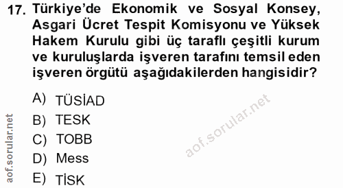 17. soru: Türkiye'de Ekonomik ve Sosyal Konsey, Asgari Ücret Tespit Komisyonu ve Yüksek Hakem Kurulu gibi üç taraflı çeşitli ku…