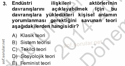 3. soru: Endüstri ilişkileri aktörlerinin davranışlarını açıklayabilmek için bu davranışlara yükledikleri kişisel anlamın yoru…