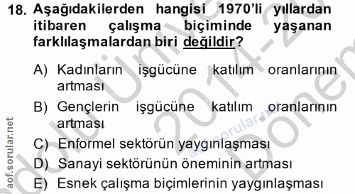 18. soru: Aşağıdakilerden hangisi 1970'li yıllardan itibaren çalışma biçiminde yaşanan farklılaşmalardan biri değildir? A) Kadı…