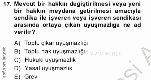 17. soru: Mevcut bir hakkın değiştirilmesi veya yeni bir hakkın meydana getirilmesi amacıyla sendika ile işveren veya işveren s…