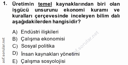 1. soru: Uretimin temel kaynaklarından biri olan işgücü unsurunu ekonomi kuramı ve kuralları çerçevesinde inceleyen bilim dalı…