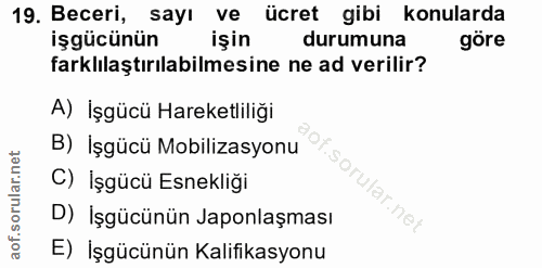 19. soru: Beceri, sayı ve ücret gibi konularda işgücünün işin durumuna göre farklılaştırılabilmesine ne ad verilir? A) İşgücü H…