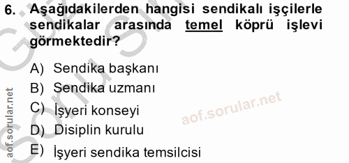 6. soru: , Aşağıdakilerden hangisi sendikalı işçilerle sendikalar arasında temel köprü işlevi görmektedir? A) Sendika başkanı…