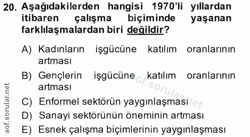 20. soru: Aşağıdakilerden hangisi 1970'li yıllardan itibaren çalışma biçiminde yaşanan farklılaşmalardan biri değildir? A) Kadı…