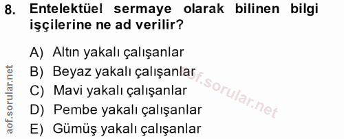 8. soru: Entelektüel sermaye olarak bilinen bilgi işçilerine ne ad verilir? A) Altın yakalı çalışanlar B) Beyaz yakalı çalışan…