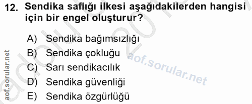 12. soru: Sendika saflığı ilkesi aşağıdakilerden hangisi için bir engel oluşturur? A) Sendika bağımsızlığı B) Sendika çokluğu C…