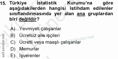 15. soru: Türkiye İstatistik Kurumu'na göre aşağıdakilerden hangisi istihdam edilenler sınıflandırmasında yer alan ana gruplard…