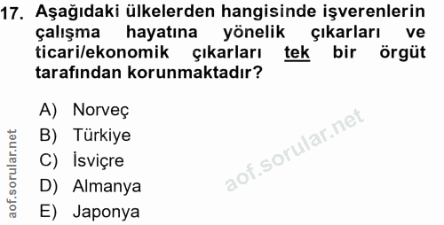 17. soru: Aşağıdaki ülkelerden hangisinde işverenlerin çalışma hayatına yönelik çıkarları ve ticari/ekonomik çıkarları tek bir…