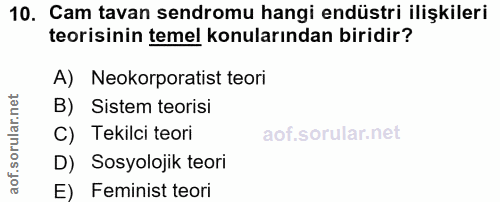10. soru: Cam tavan sendromu hangi endüstri ilişkileri teorisinin temel konularından biridir? A) Neokorporatist teori B) Sistem…