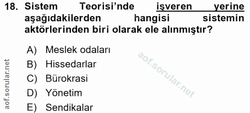 18. soru: Sistem Teorisi'nde işveren yerine aşağıdakilerden hangisi sistemin aktörlerinden biri olarak ele alınmıştır? A) Mesle…