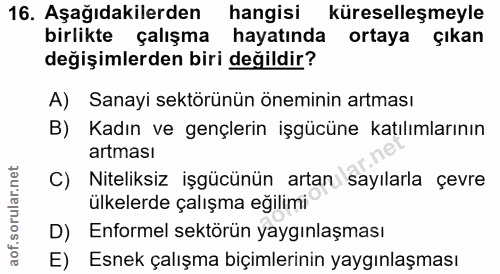 16. soru: Aşağıdakilerden hangisi küreselleşmeyle birlikte çalışma hayatında ortaya çıkan değişimlerden biri değildir? A) Sanay…