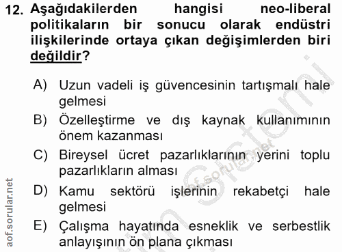 12. soru: Aşağıdakilerden hangisi neo-liberal politikaların bir sonucu olarak endüstri ilişkilerinde ortaya çıkan değişimlerden…