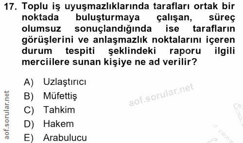 17. soru: Toplu iş uyuşmazlıklarında tarafları ortak bir noktada buluşturmaya çalışan, süreç olumsuz sonuçlandığında ise tarafl…